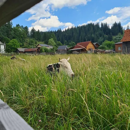 Gæstehus Vulyk