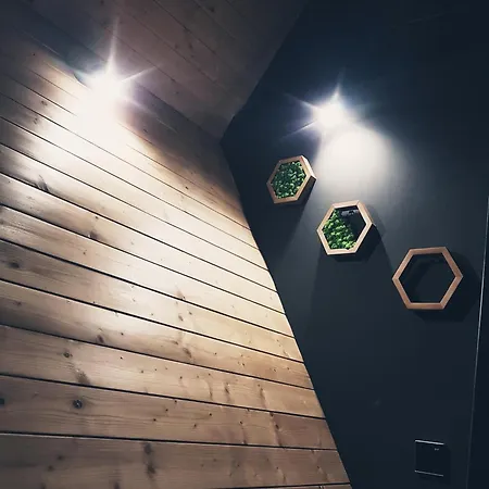 בית הארחה Vulyk ורחובינה